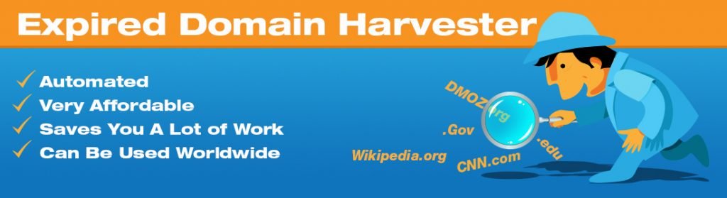 Expired Domain Service